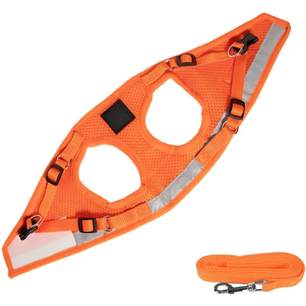 Reflective Cat Harness & Leash Set