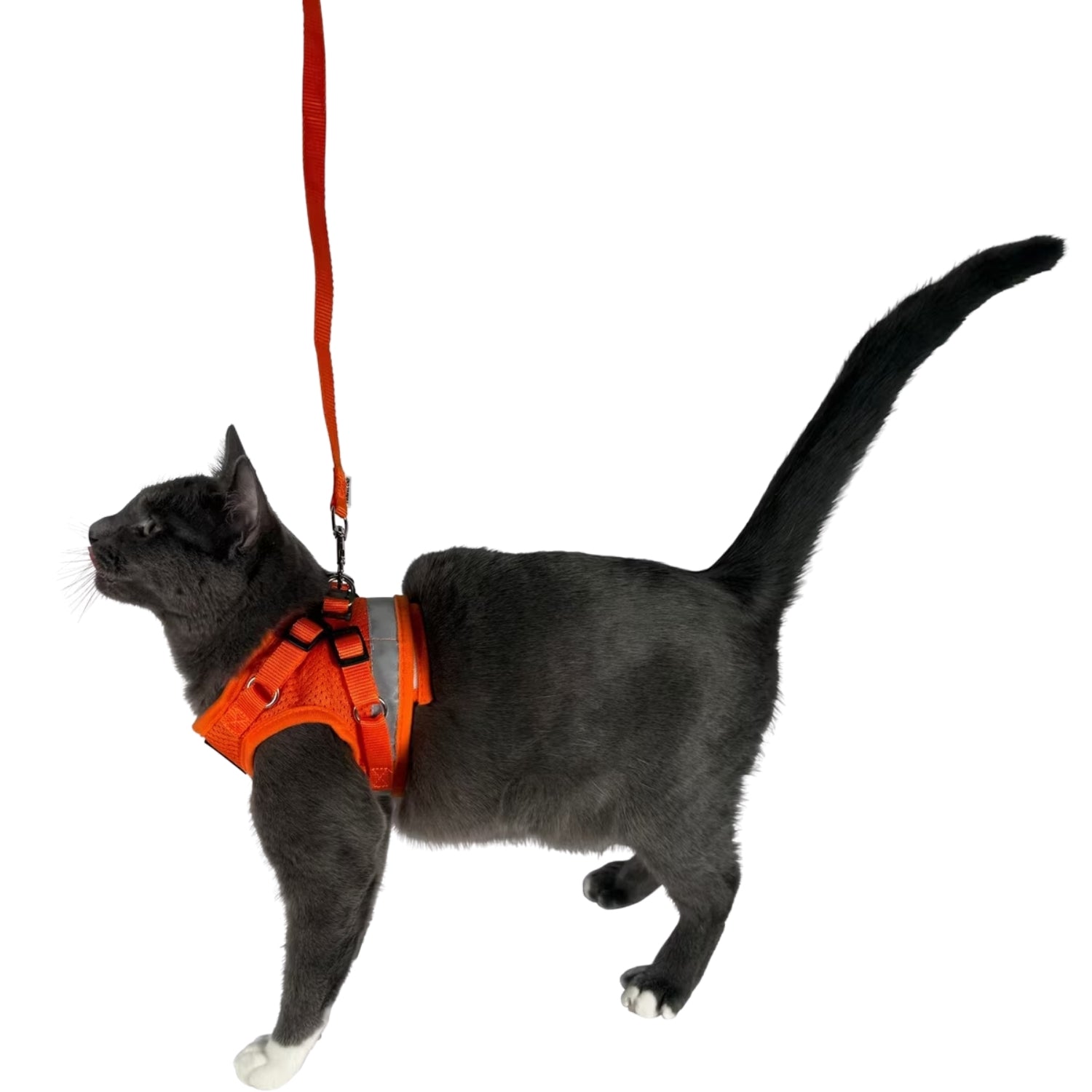 Reflective Cat Harness & Leash Set