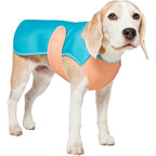 Roveex UPF Cooling Vest for Dogs