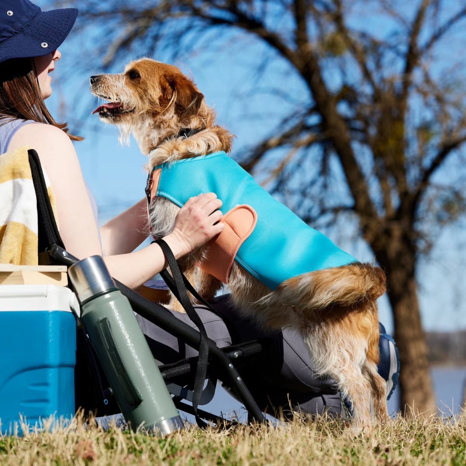 Roveex UPF Cooling Vest for Dogs